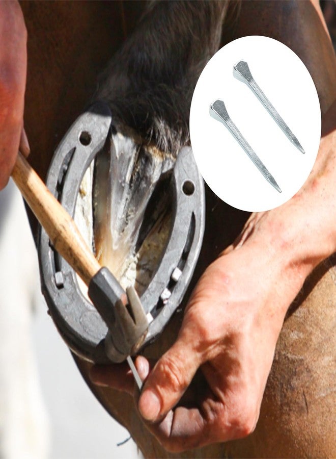 Pocoxll 50 Pcs E3 Horseshoe Nails, Low-Carbon Steel Horseshoe Nails for Horse Training Equestrian Sports（45mm） - Image 4